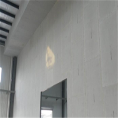 青秀宁波ALC板|EPS加气板隔墙与混凝土整浇联接的实验研讨